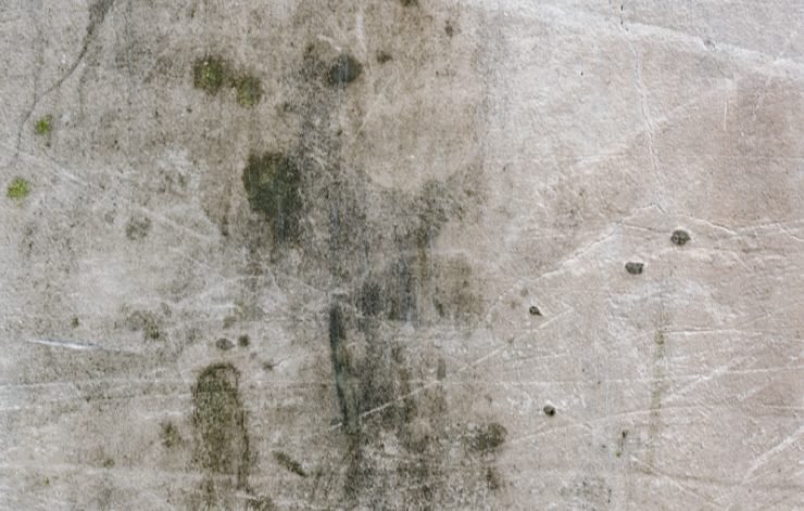 moisissure linge astuce naturelle Comment faire partir la moisissure sur les tissus ?