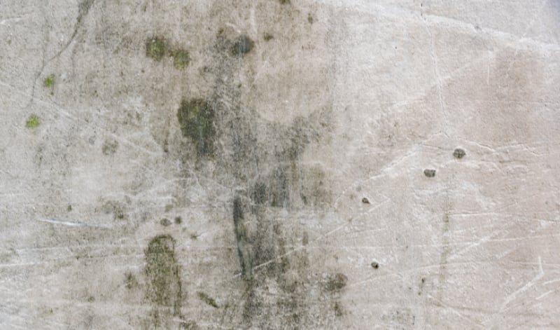Comment faire partir la moisissure sur les tissus ? 1 Comment faire partir la moisissure sur les tissus ? moisissure linge astuce naturelle Comment faire partir la moisissure sur les tissus ?