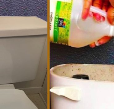 nettoyer chasse eau reservoir astuce Comment nettoyer le réservoir de la chasse d'eau ?