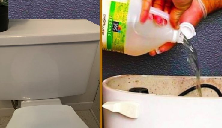 nettoyer chasse eau reservoir astuce Comment nettoyer le réservoir de la chasse d'eau ?