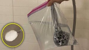 Comment nettoyer les trous du pommeau de douche ? 2 Comment nettoyer les trous du pommeau de douche ? nettoyer pommeau douche trous Comment nettoyer les trous du pommeau de douche ?