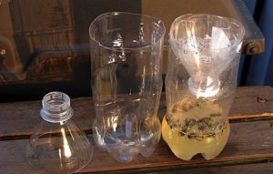 piege guepes 2 Comment faire un bon piège à guêpe ?