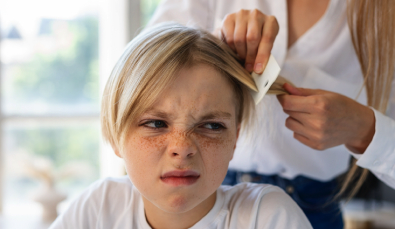 Quel est le produit le plus efficace contre les poux ? 1 Quel est le produit le plus efficace contre les poux ? poux tete astuce naturelle et meilleur Quel est le produit le plus efficace contre les poux ?