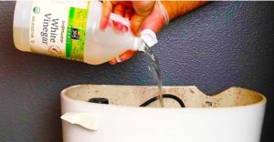 reservoir toilette vinaigre Comment nettoyer le réservoir de la chasse d'eau ?
