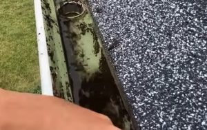 rincer gouttiere Comment nettoyer les gouttières d'une maison ?