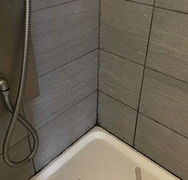 se debarraser des moisissure salle de bain Comment se débarrasser de la moisissure dans la salle de bain ?
