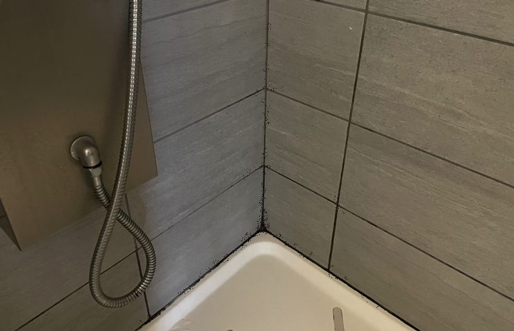 se debarraser des moisissure salle de bain Comment se débarrasser de la moisissure dans la salle de bain ?