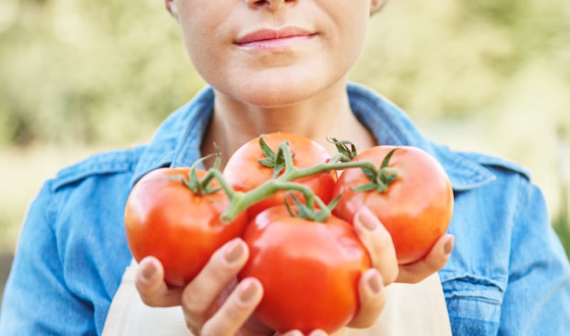 Comment savoir si une tomate est toujours bonne ? 1 Comment savoir si une tomate est toujours bonne ? tomate bonne Comment savoir si une tomate est toujours bonne ?