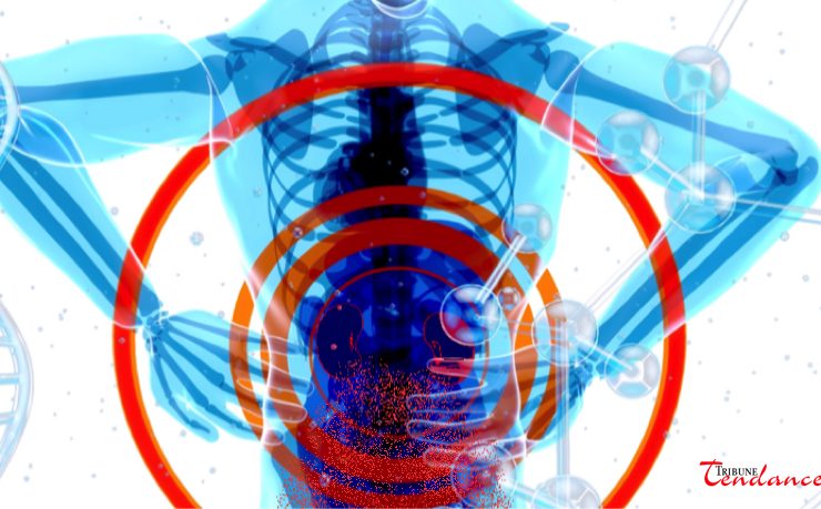 douleur sciatique mouvement Quel mouvement ne pas faire quand on a une sciatique ?