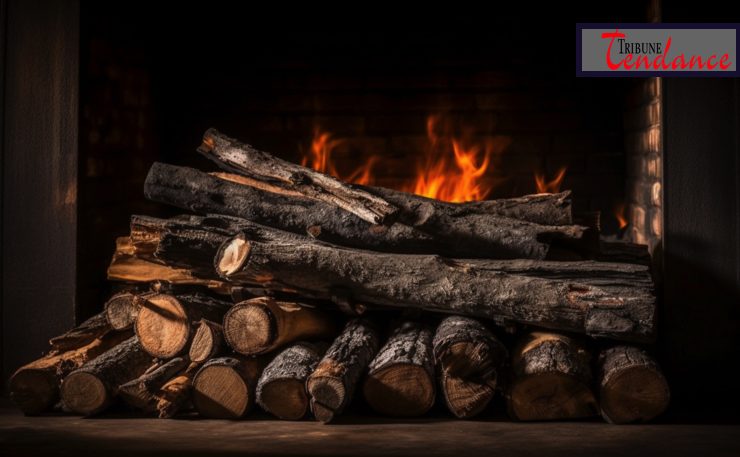 economiser du bois de chauffage tribune tendance Comment économiser du bois de chauffage ?