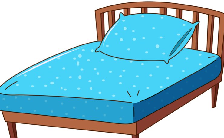 lit acarien se debarraser comment se débarrasser des acariens dans le lit ?