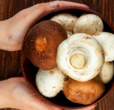 Pourquoi ne faut-il pas manger des champignons tous les jours ? 2 Pourquoi ne faut-il pas manger des champignons tous les jours ? manger des champignons tous les jours Pourquoi ne faut-il pas manger des champignons tous les jours ?