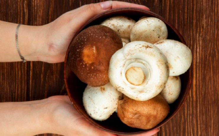 manger des champignons tous les jours Pourquoi ne faut-il pas manger des champignons tous les jours ?