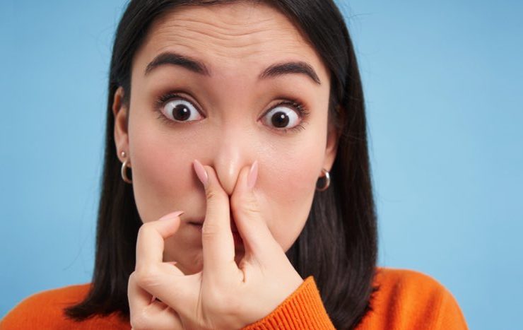 mauvaises odeurs maison quoi faire Comment éliminer les mauvaises odeurs dans la maison ?