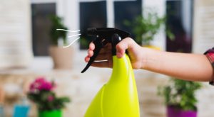 Quel est le meilleur parfum, et désodorisant, pour les toilettes ? 4 Quel est le meilleur parfum, et désodorisant, pour les toilettes ? odeur dans la maison astuce naturelle spray Quel est le meilleur parfum, et désodorisant, pour les toilettes ?