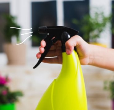 Comment avoir une bonne odeur dans toute la maison ? 3 Comment avoir une bonne odeur dans toute la maison ? odeur dans la maison astuce naturelle spray Comment avoir une bonne odeur dans toute la maison ?