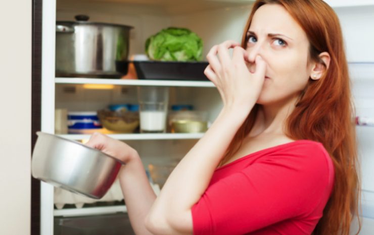 odeur frigo Comment faire partir une mauvaise odeur dans le frigo ?
