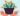 plante attire argent richesses Quelle plante attire la chance et l'argent ?
