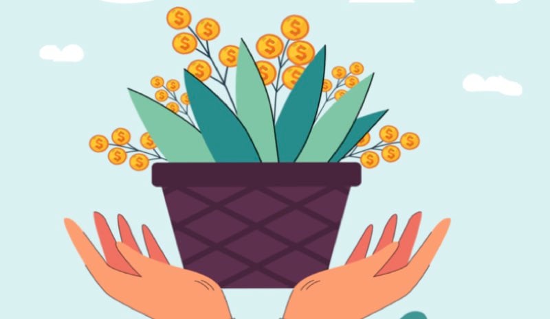 Quelle plante attire la chance et l'argent ? 1 Quelle plante attire la chance et l'argent ? plante attire argent richesses Quelle plante attire la chance et l'argent ?