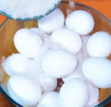 Pourquoi faut-il saupoudrer les oeufs avec du sel ? 4 Pourquoi faut-il saupoudrer les oeufs avec du sel ? saler oeuf Pourquoi faut-il saupoudrer les oeufs avec du sel ?