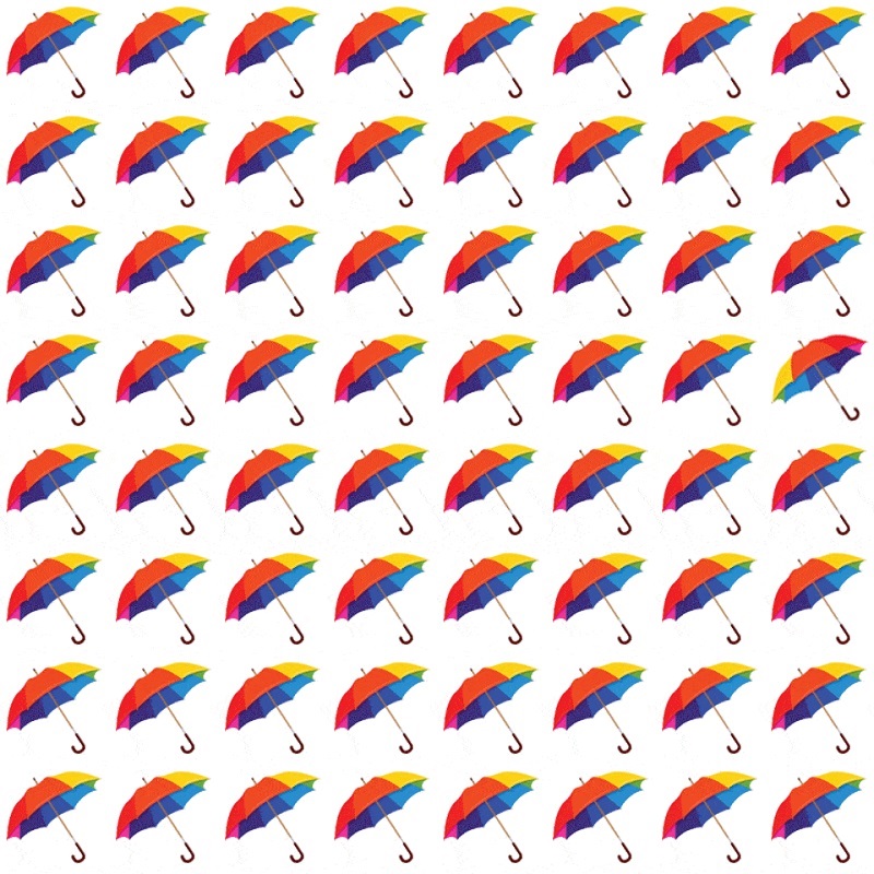 a Test observation : Pouvez-vous trouver l'intrus dans ces 5 images