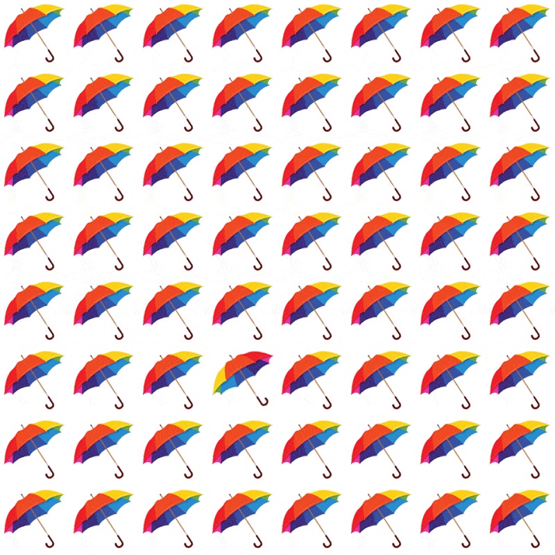 d Test observation : Pouvez-vous trouver l'intrus dans ces 5 images