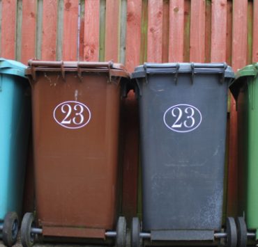 faire fuir asticot Pourquoi il y a des asticots dans ma poubelle ?