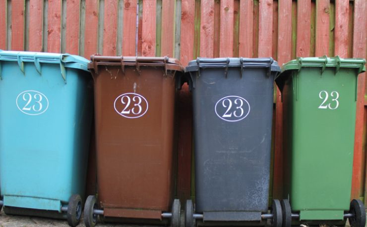 faire fuir asticot Pourquoi il y a des asticots dans ma poubelle ?