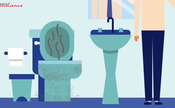 mauvaise odeur toilette Pourquoi mes toilettes sentent toujours mauvais ?