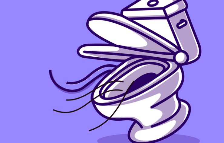 mauvaises odeurs toilette Comment lutter contre les mauvaises odeurs dans les toilettes ?