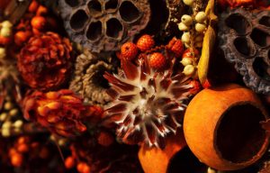 pot pourri Comment Parfumer Naturellement sa Maison en Hiver ?