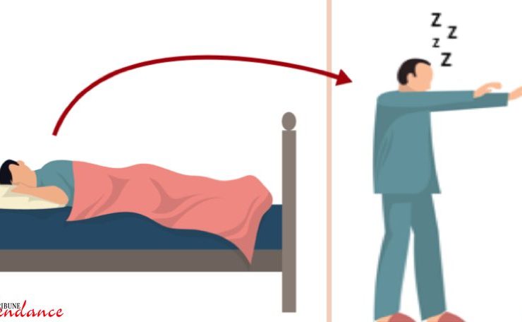 pourquoi pas toucher somnambule tribune tendance Pourquoi il ne faut pas toucher un somnambule ?