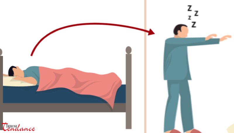 Pourquoi il ne faut pas toucher un somnambule ? 1 Pourquoi il ne faut pas toucher un somnambule ? pourquoi pas toucher somnambule tribune tendance Pourquoi il ne faut pas toucher un somnambule ?