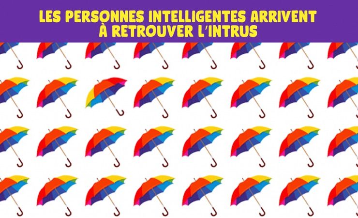 test observation Test observation : Pouvez-vous trouver l'intrus dans ces 5 images
