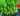 astuce en pot Quelle est l'astuce pour faire durer le Basilic en pot pendant des mois (sans le faire mourir) ?
