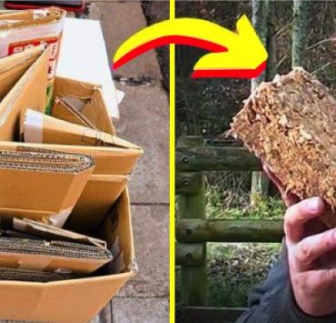 fabriquer buche bois Comment faire du bois de chauffage gratuitement ? Une astuce méconnue