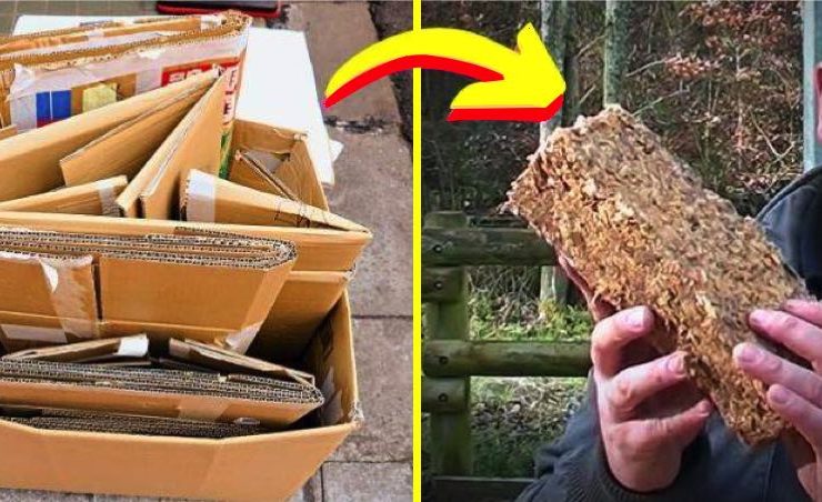 fabriquer buche bois Comment faire du bois de chauffage gratuitement ? Une astuce méconnue