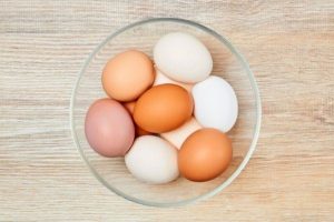 les oeufs Quelle est la différence entre un oeuf brun et un oeuf blanc ?