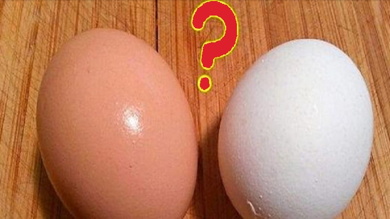 Quelle est la différence entre un oeuf brun et un oeuf blanc ? 1 Quelle est la différence entre un oeuf brun et un oeuf blanc ? oeuf brun et blanc Quelle est la différence entre un oeuf brun et un oeuf blanc ?