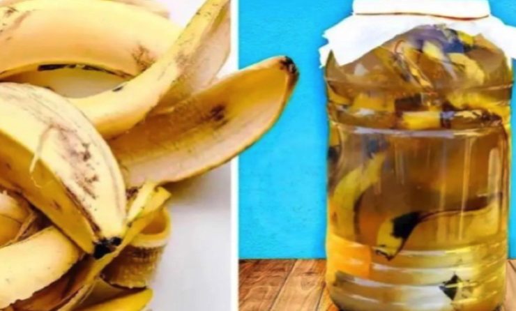 peau de banane astuce Qu'est-ce qu'on peut faire avec de la peau de banane ? Découvrez 13 Astuces Ingénieuses !