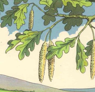 erreurrrr Pouvez-vous trouver l'erreur dans ce paysage en seulement 11 secondes ?