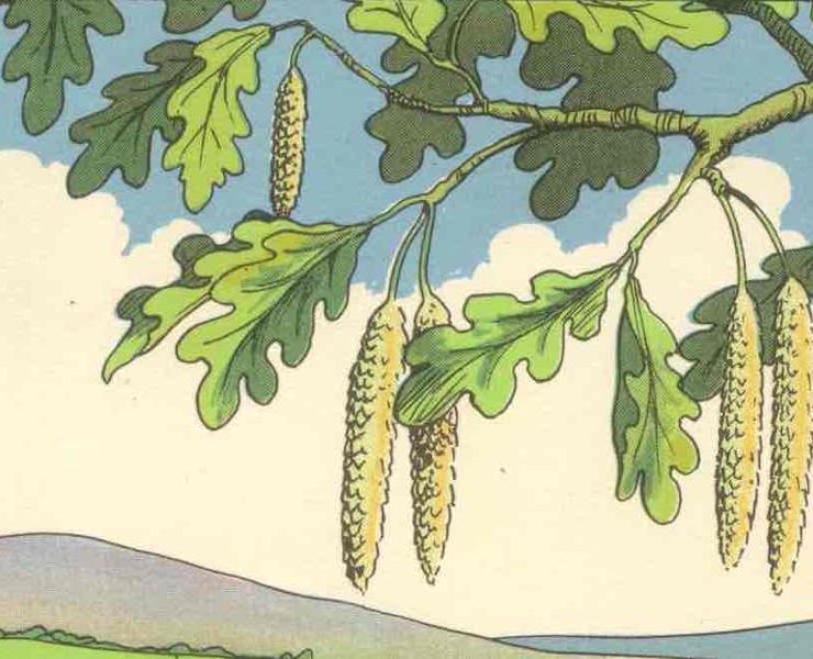 erreurrrr Pouvez-vous trouver l'erreur dans ce paysage en seulement 11 secondes ?