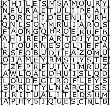 fleurreeee Découvrez un secret sur vous-même avec la première fleur trouvée dans ce jeu de mots cachés