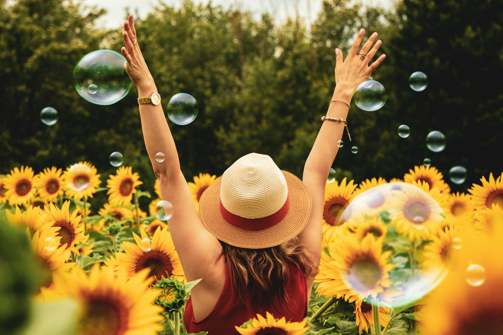 Les 4 Plaisirs Quotidiens Qui Rendent la Vie Plus Douce 1 Les 4 Plaisirs Quotidiens Qui Rendent la Vie Plus Douce pexels andre furtado 1263986 Les 4 Plaisirs Quotidiens Qui Rendent la Vie Plus Douce