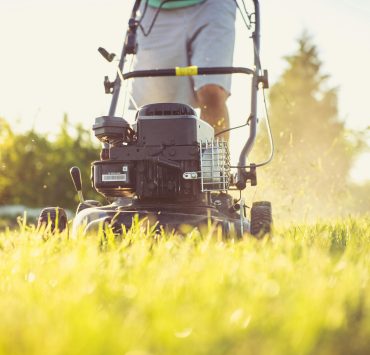 Une forte amende pour les Français qui tondent leur jardin hors temps permis 2 Une forte amende pour les Français qui tondent leur jardin hors temps permis pexels magic k 6728919 1 Une forte amende pour les Français qui tondent leur jardin hors temps permis