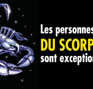 10 bonnes raisons de craquer pour un Scorpion 2 10 bonnes raisons de craquer pour un Scorpion 10 bonnes raisons daimer un Scorpion 10 bonnes raisons de craquer pour un Scorpion