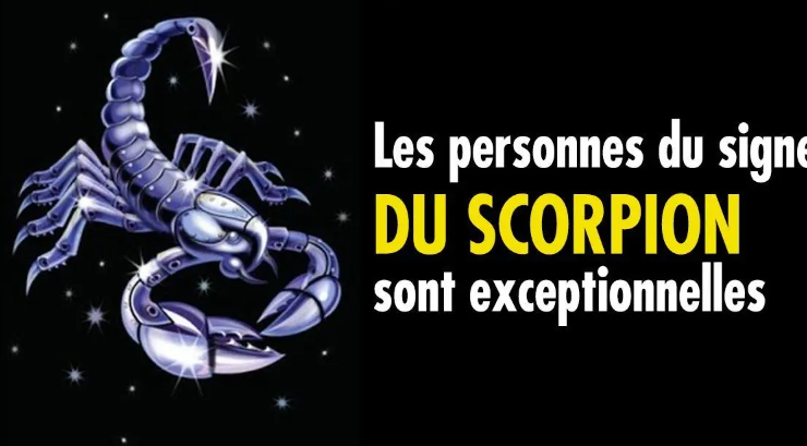 10 bonnes raisons daimer un Scorpion 10 bonnes raisons de craquer pour un Scorpion