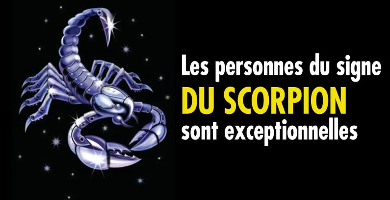 10 bonnes raisons de craquer pour un Scorpion 1 10 bonnes raisons de craquer pour un Scorpion 10 bonnes raisons daimer un Scorpion 10 bonnes raisons de craquer pour un Scorpion