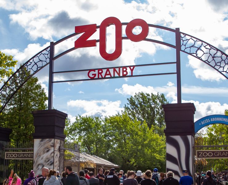 342219415 628634632613296 7340475656426160298 n e1713210737540 De Nouveaux Résidents Captivants au Zoo de Granby !