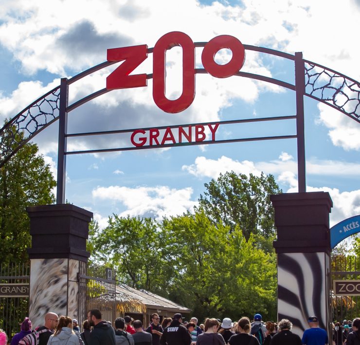 342219415 628634632613296 7340475656426160298 n e1713210737540 De Nouveaux Résidents Captivants au Zoo de Granby !
